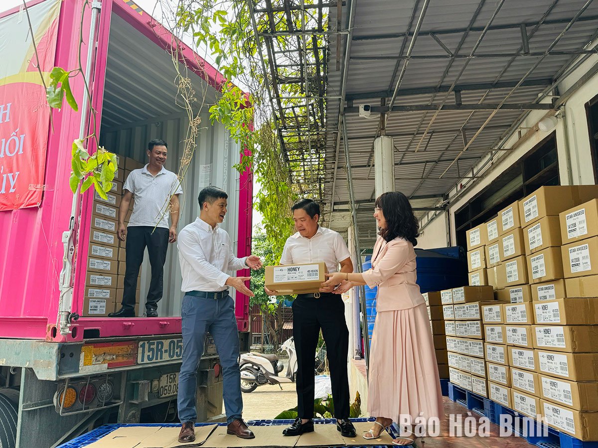 Giá  Thủ tục xuất khẩu tinh bột sắn năm 2024